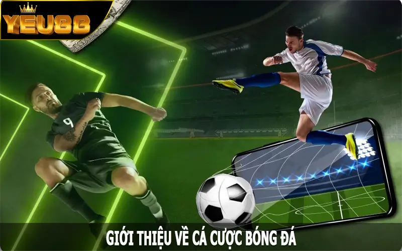 Giới thiệu về cá cược bóng đá tại Yeu88
