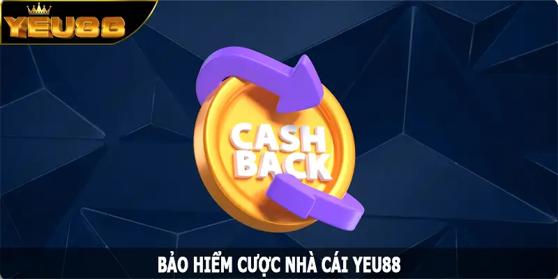 Bảo Hiểm Cược - Tổng Hợp Ưu Đãi Với Giá Trị Cao Cho Hội Viên