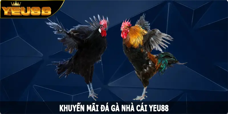 Khuyến Mãi Đá Gà - Những Ưu Đãi Hấp Dẫn Đến Từ Yeu88