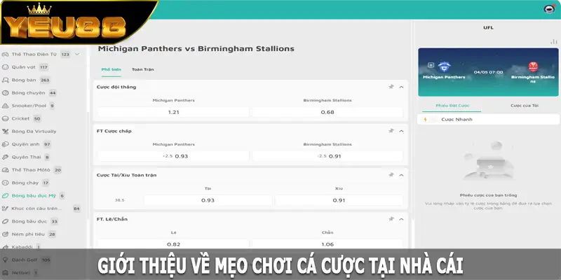 Giới thiệu về mẹo chơi cá cược tại nhà cái