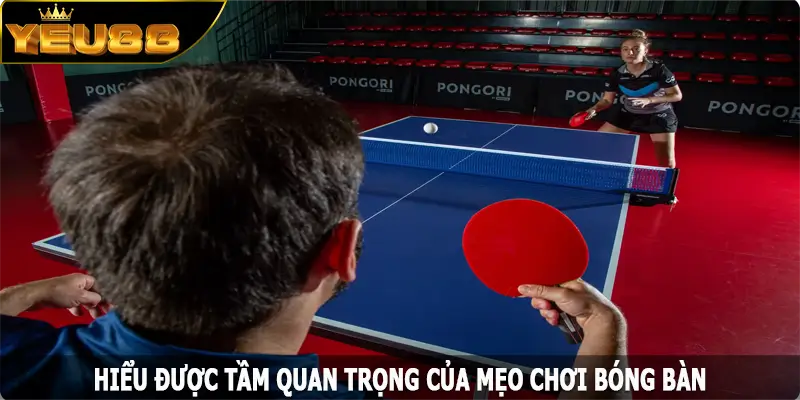 Hiểu được tầm quan trọng của mẹo chơi bóng bàn