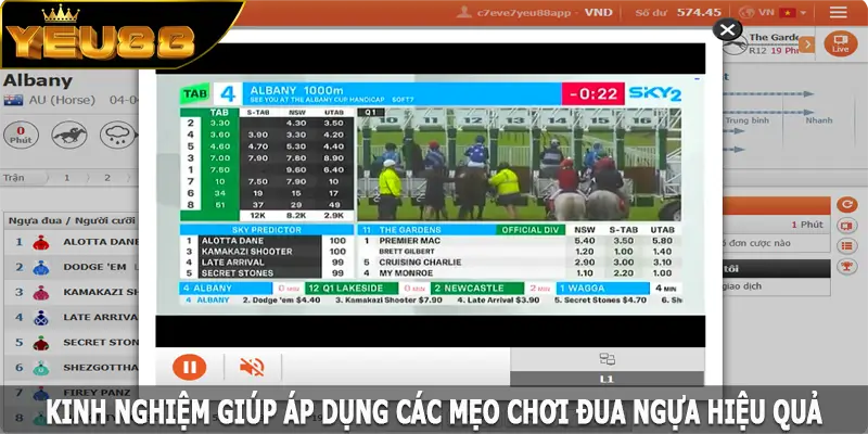 Kinh nghiệm giúp áp dụng các mẹo chơi đua ngựa hiệu quả