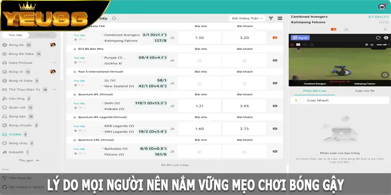 Lý do mọi người nên nắm vững mẹo chơi bóng gậy tại Yeu88
