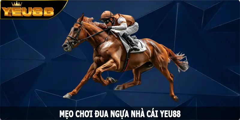 Mẹo Chơi Đua Ngựa: Kinh Nghiệm Giúp Bạn Cá Cược Tự Tin