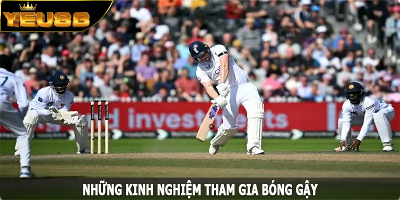 Những kinh nghiệm tham gia bóng gậy đạt hiệu quả cao tại Yeu88