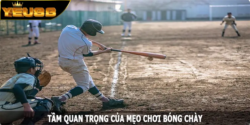 Tầm quan trọng của mẹo chơi bóng chày