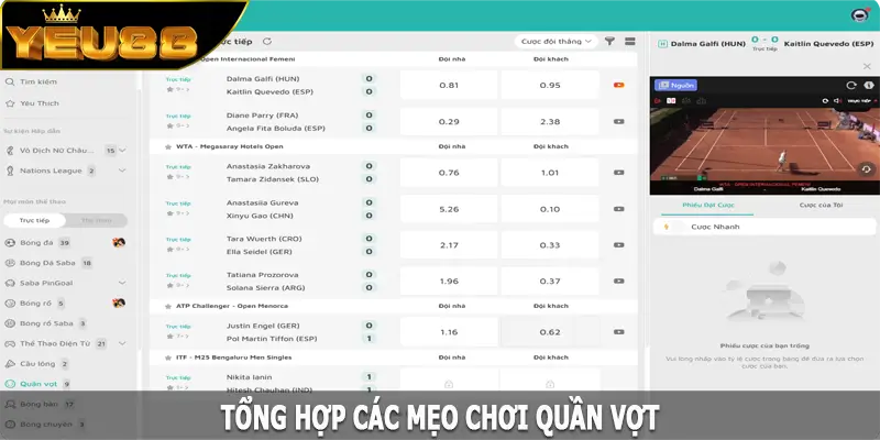 Tổng hợp các mẹo chơi quần vợt được nhiều người áp dụng hiệu quả