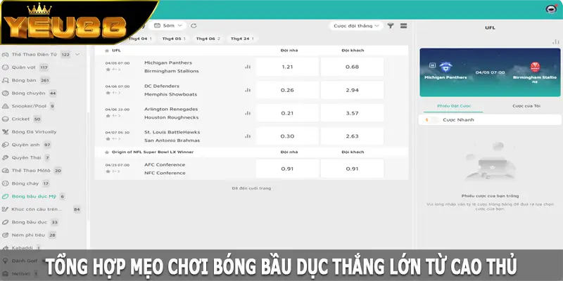 Tổng hợp mẹo chơi bóng bầu dục thắng lớn từ cao thủ