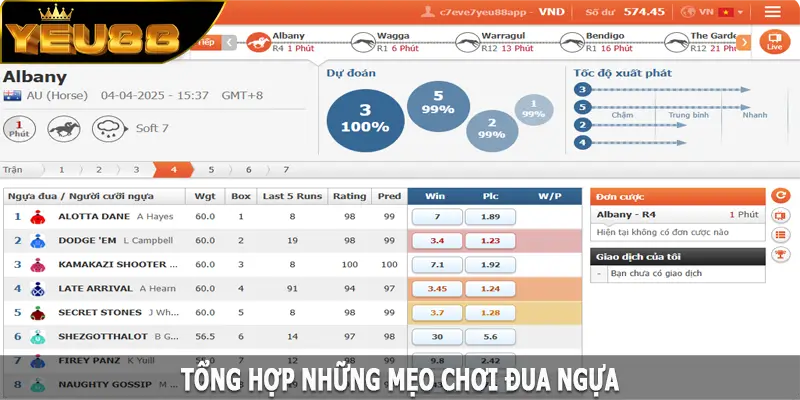 Tổng hợp những mẹo chơi đua ngựa cơ bản nhất cho tân thủ